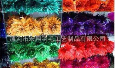 宏翔羽毛厂家直销扎把染色尖毛穿条彩色鸡毛服装配料饰品配件10-15cm(mm)